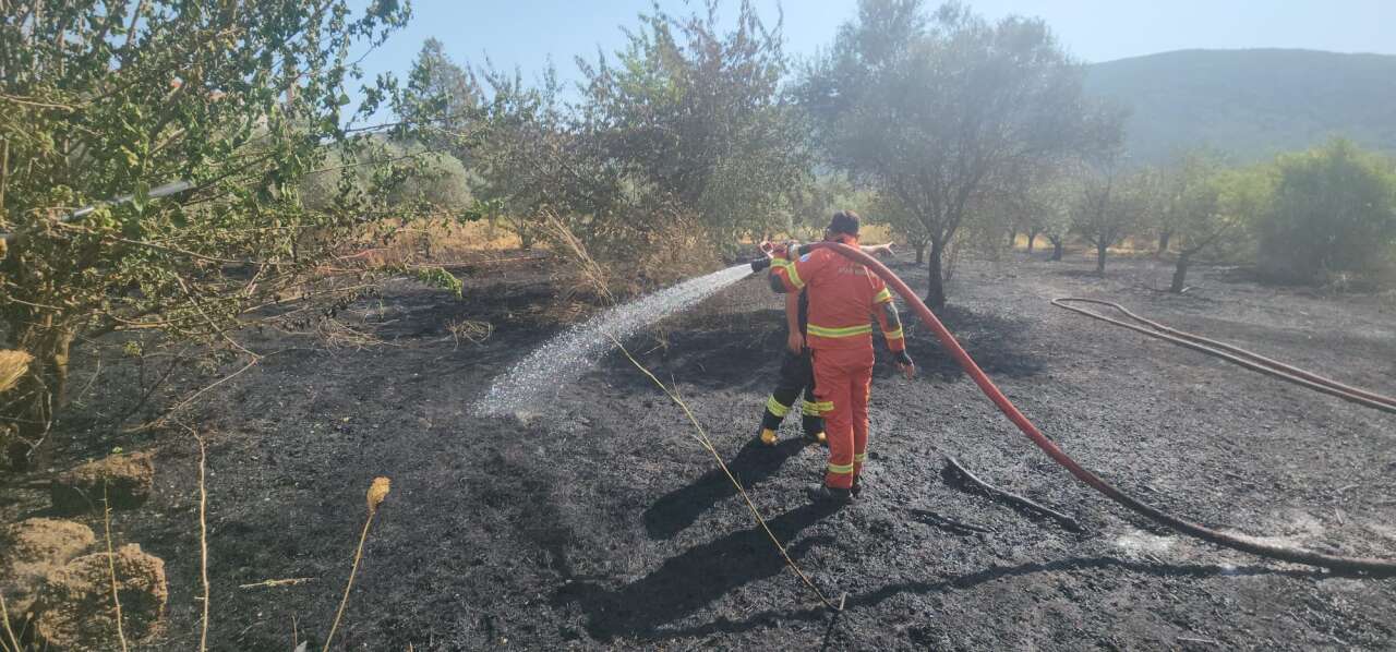 Menteşe’de Bahçe Yangını: Havadan Müdahale Başladı 4